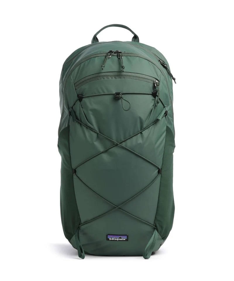 Patagonia Terravia 22 L Sac à dos canopy green
